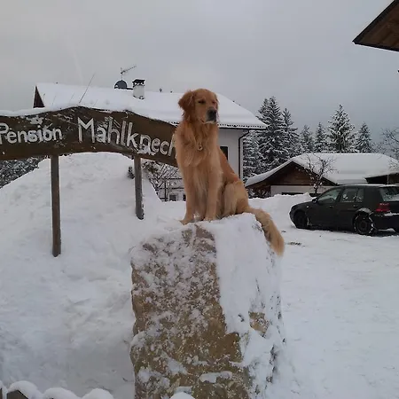 Mahlknecht
